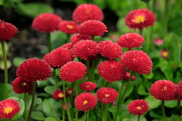 Hoe verwarm je een huiszwembad op een milieuvriendelijke manier?